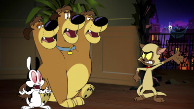 Imagen de Bunnicula (T2) - 11