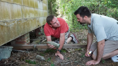 Imagen de Reformas en... (T1): La niña de mis ojos - 2