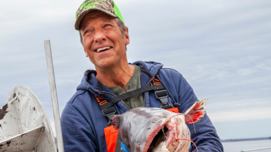 Imagen de Dirty Jobs (T9): Cosechar caviar y creador de especias - 2