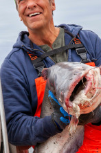 Imagen de Dirty Jobs (T9): Cosechar caviar y creador de especias - 1