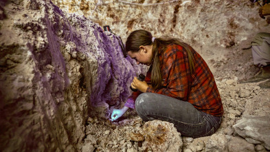 Imagen de Cazadores de gemas: Compartido honestamente - 2