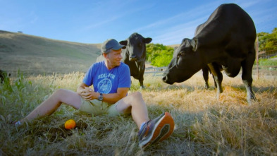 Dirty Jobs, Season 8: Solución de problemas