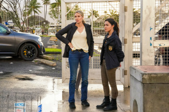 NCIS: Hawai'i (T2): Ep.20 Vigilante nocturno dos