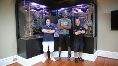 Imagen de Acuarios XXL (T7): El acuario para serpientes de Dwight Howard - 2