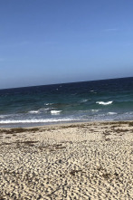 Imagen de Quiero vivir en... (T13): Explorar nuevos territorios en Aruba - 1
