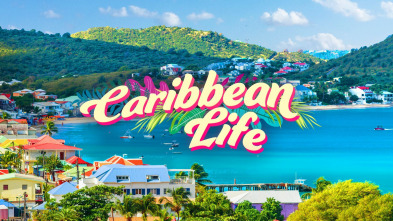 Quiero vivir en el Caribe, Season 8 (T8)