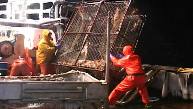 Imagen de Pesca radical: En el filo - 4