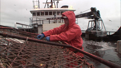 Imagen de Pesca radical: Las tribulaciones de los novatos - 2