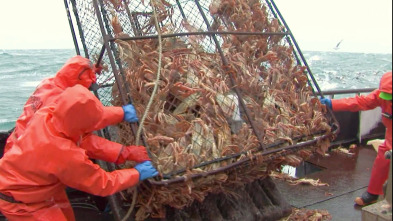 Imagen de Pesca radical: Mal tiempo, problemas graves - 2