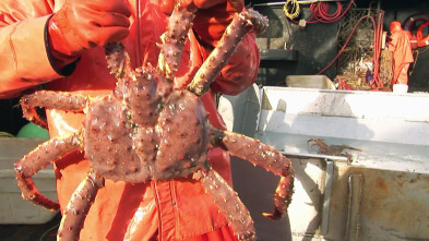 Imagen de Pesca radical: Aguantarse o callarse - 2