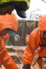 Imagen de Pesca radical: Bloqueo - 1