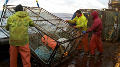 Imagen de Pesca radical: Eslabones débiles - 2