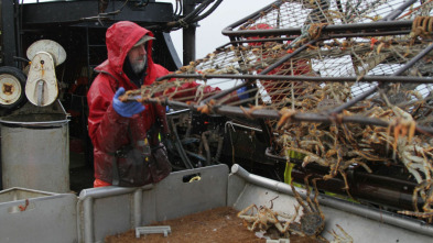 Pesca radical: El gancho