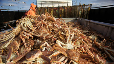 Imagen de Pesca radical: Sin acceso al mar - 2