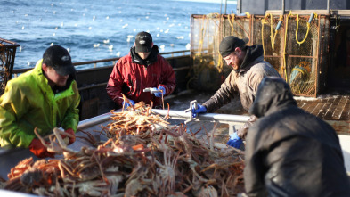 Imagen de Pesca radical: Liberar a la bestia - 2
