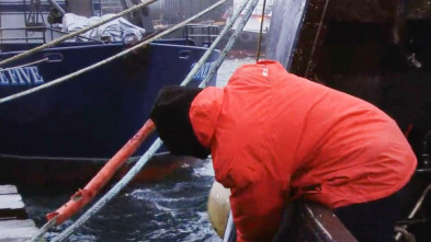 Imagen de Pesca radical: Puño a la cara - 2