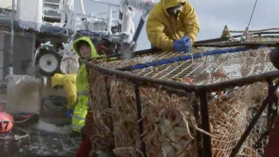 Imagen de Pesca radical: Así que quieres ser el propietario de un buque - 2