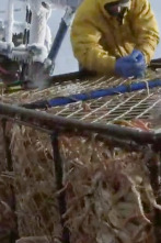 Imagen de Pesca radical: Así que quieres ser el propietario de un buque - 1