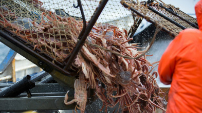 Imagen de Pesca radical: El ultimátum - 2