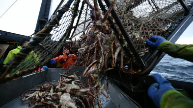 Imagen de Pesca radical: Las campanas del infierno - 2