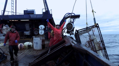 Imagen de Pesca radical: Novatos - 2