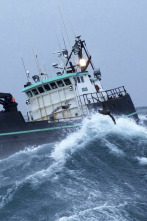 Imagen de Pesca radical: Golpes demoledores - 1