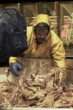 Imagen de Pesca radical: Mega Tormenta Ártica - 1
