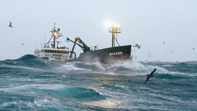 Imagen de Pesca radical: El naufragio de la grúa - 2