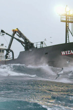 Imagen de Pesca radical: El naufragio de la grúa - 1