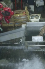 Imagen de Pesca radical: Alianza impía - 1