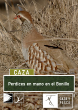 Imagen de Perdices en mano en el Bonillo - 1