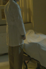 Imagen de Detective McFadden...: Atropello y fuga - 1