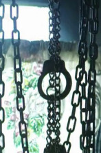 Imagen de Perfil de un...: Manipuladores - 1