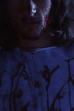 Imagen de Perfil de un...: Depredadores - 1