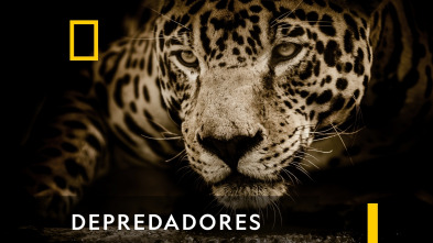 Imagen de Depredadores  - 2