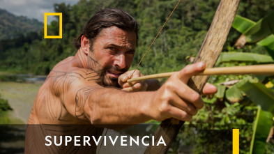 Imagen de Supervivencia  - 2