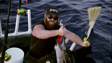 Imagen de Cuestión de agallas (T1): A la búsqueda del pez vela - 2