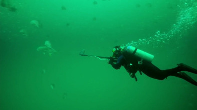 Imagen de Cuestión de agallas (T1): No conoces a Jack Crevalle - 2