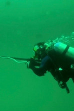 Imagen de Cuestión de agallas (T1): No conoces a Jack Crevalle - 1
