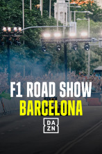F1 - Road Show Barcelona