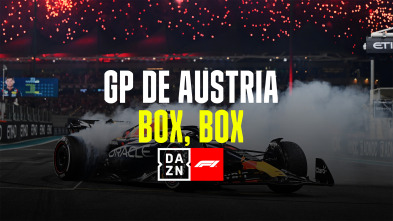 GP de Austria (Red...: GP de Austria: Box, Box