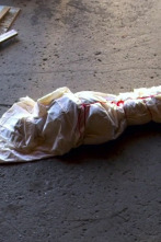 Imagen de Redrum (murder): Jugando al escondite - 1
