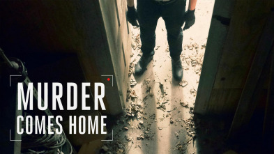 Imagen de Un asesino en casa (T1) - 2