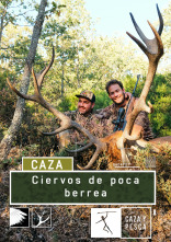 Ciervos de poca berrea