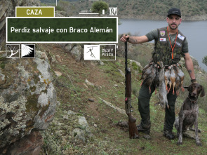 Imagen de Perdiz salvaje con Braco Alemán - 2