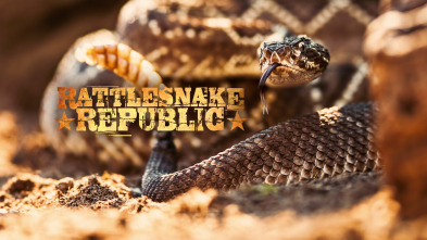 Imagen de República Reptil  - 2
