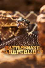 Imagen de República Reptil  - 1