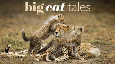 Imagen de Grandes felinos  - 2