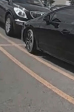 Imagen de Body Cam: Hombre herido - 1