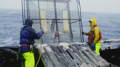 Imagen de Pesca radical: Un problema como María - 2